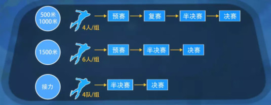 短道速滑赛制示意图.jpg